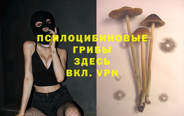сатива Арсеньев
