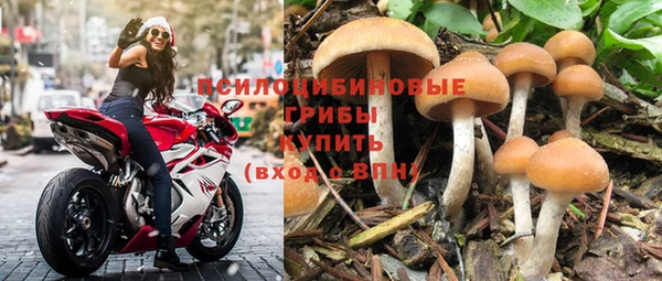 ALPHA-PVP Армянск